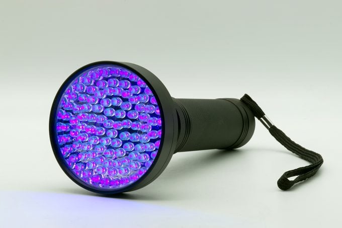 Does Uv Light Kill Mold Gettyimages 1772057047