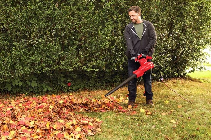 Fhma24 Craftsman Backpack Leaf Blower Ft 01 Stedit
