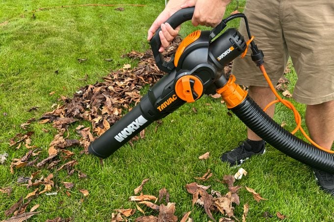 Worx Leaf Vacuum