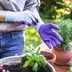 7 Best Gardening Gloves For 2024