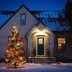 Guide To Outdoor Christmas Trees