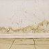 The Experts' Guide to Preventing Mold In Basements